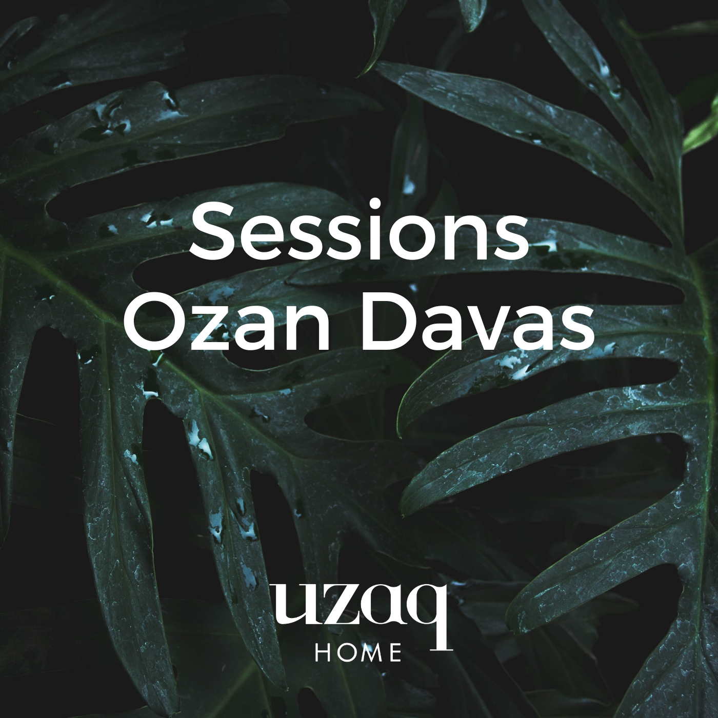 New Spotify List is out